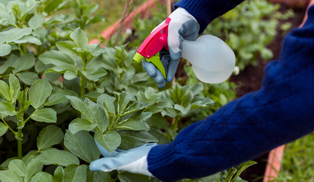 The company's factory is located in Yantai City