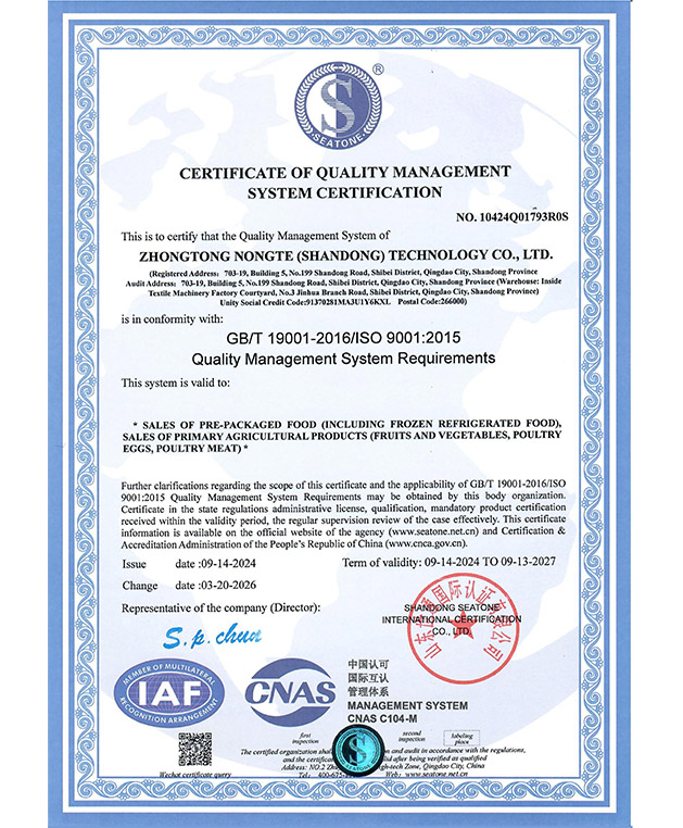 ISO 9001