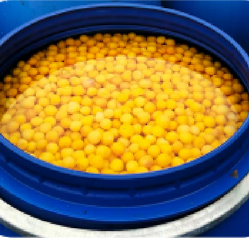 Stemless Brined Cherry Raw Materials